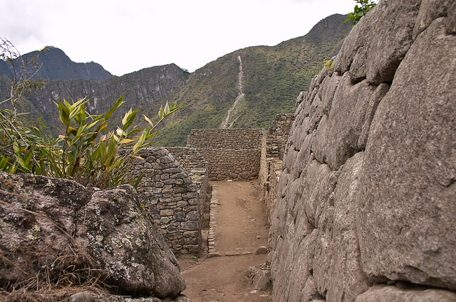Un sentier  Machu Picchu